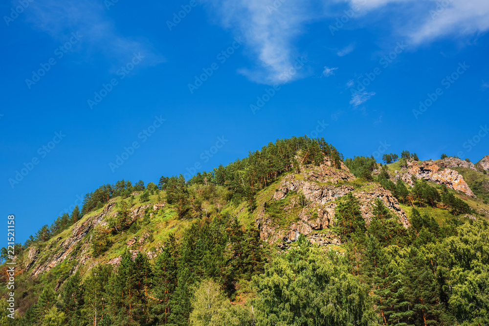 Mountain with pine trees. Altai, Southern Siberia