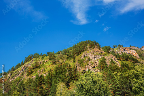 Mountain with pine trees. Altai, Southern Siberia