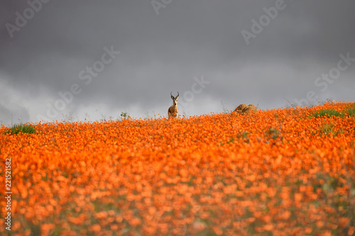Waiting For The Storm