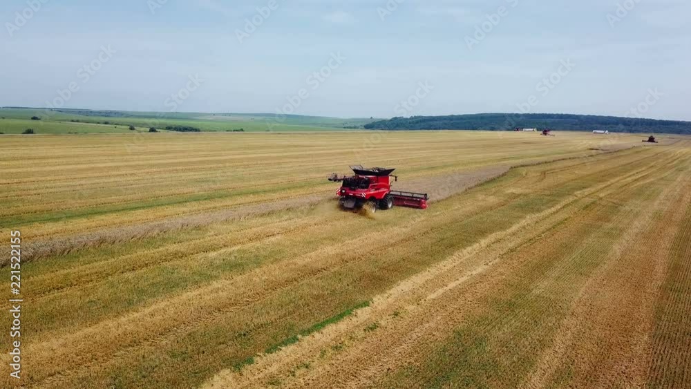 Aerial view. Combine harvester working on sunny summer day. Harvest time. Agricultural sector Aerial view. Combine harvester working on sunny summer day. Harvest time. Agricultural sector