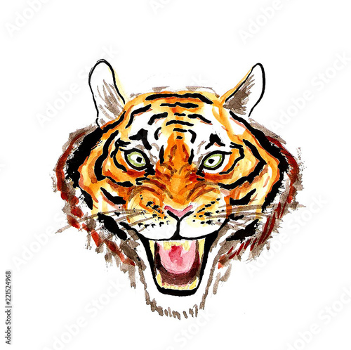 Fototapeta Naklejka Na Ścianę i Meble -  Watercolor illustration of the face of a roaring tiger