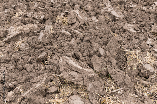 Cultivated Soil