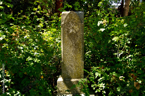 Overgrown shrubbery and headstone, Union Cemetery, Redwood City, California  photo