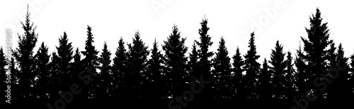 Seamless pattern. Forest of Christmas fir trees silhouette. Coniferous spruce.