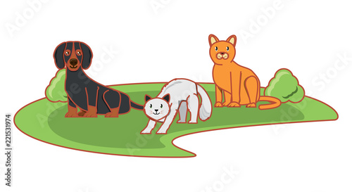 cute cats and dog