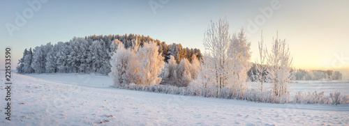 Panorama of winter nature landscape. Panoramic view on frosty trees on snowy meadow in morning with warm yellow sunlight. Christmas background. Xmas time. Wonderful winter