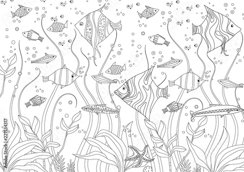 decorative fishes and seaweed for your coloring book