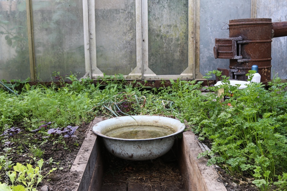 Basin in greenhouse 