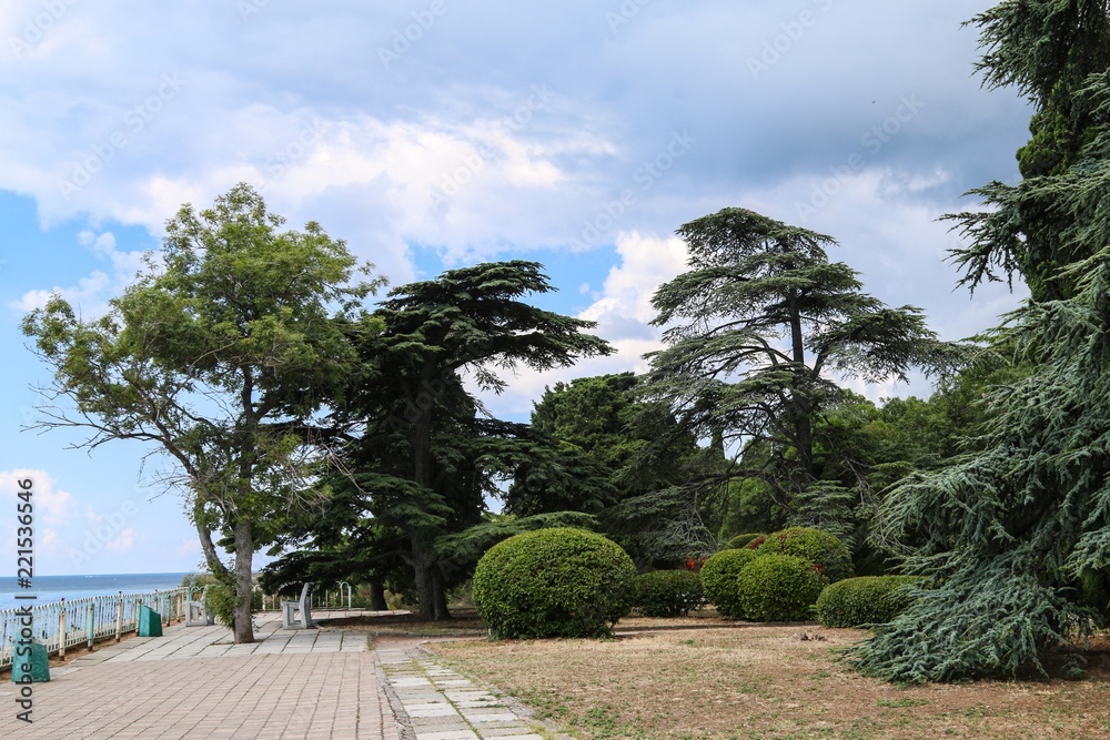 Park with different trees 