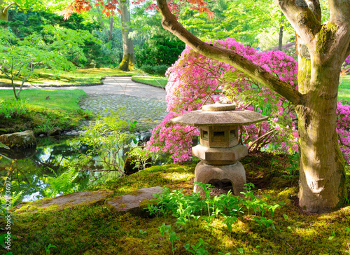 Fototapeta zielona trawa i kwitnące drzewa w japońskim ogrodzie w lanscaped w Hadze, Holandia