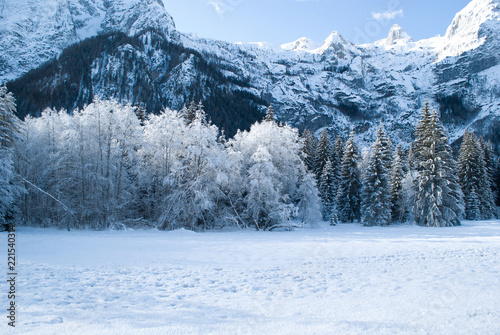 Photography a beautiful snowy winter