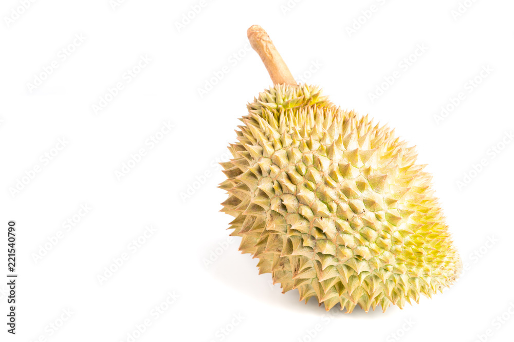 Durian is the king of fruit on white background Durian is the king of fruit on white background