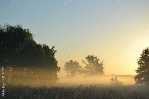 Morgengrauen