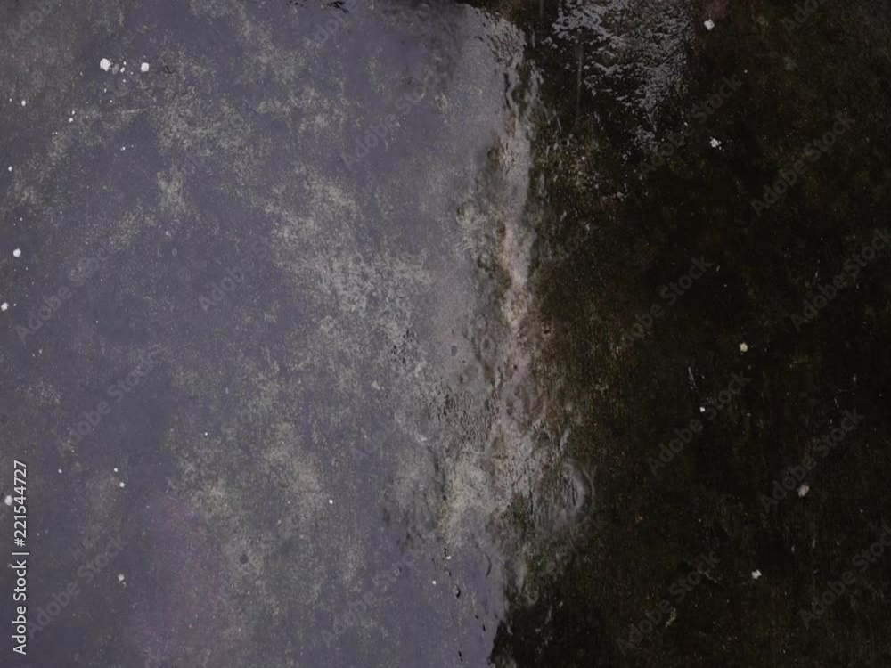 Refreshing Rain drops on the water in the pond Refreshing Rain drops on the water in the pond