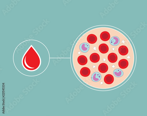 Hand drawn cells of the blood and blood droplet - plasma - red blood cells - white blood cells - platelets  photo