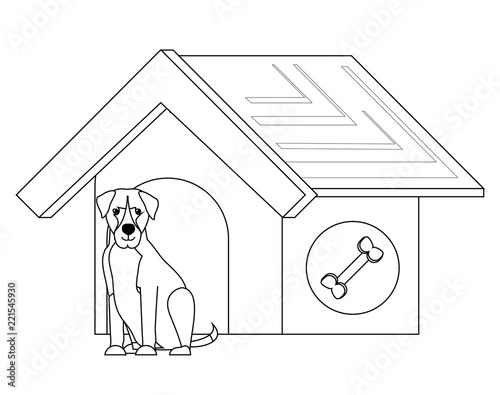 cute pets design