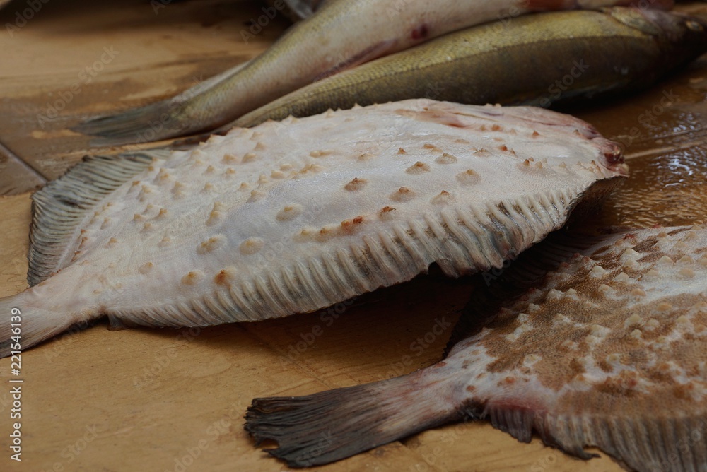 gray raw flounder fish on a brown table gray raw flounder fish on a brown table