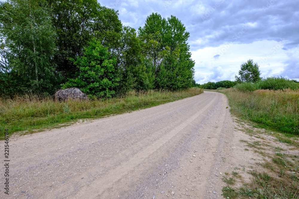 simple gravel country road in summer in forest