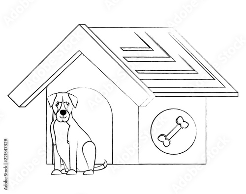 cute pets design