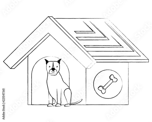 cute pets design