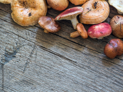 A variety of raw fresh forest mushrooms on wooden background
