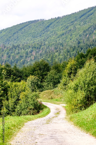 simple gravel country road in summer in forest