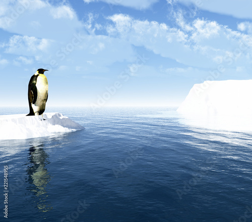 Antarctic penguin on ice
