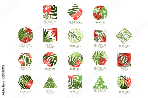 Collection of geometric tropical logo with leaves and flowers