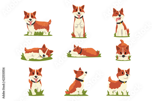 Set of cartoon red-haired corgi dogs