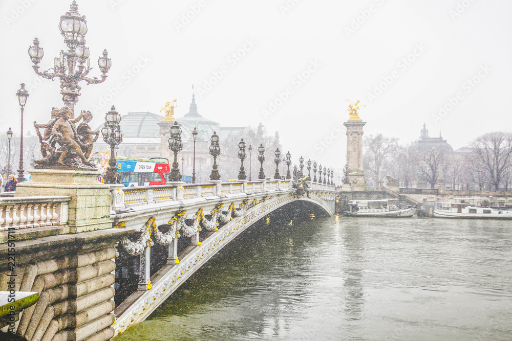 The Alexander III Bridge  in Paris , Paris