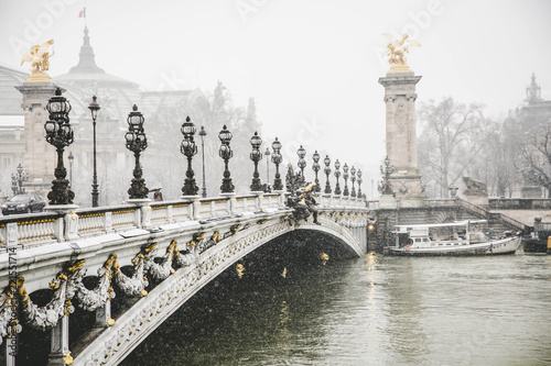 The Alexander III Bridge in Paris . Paris