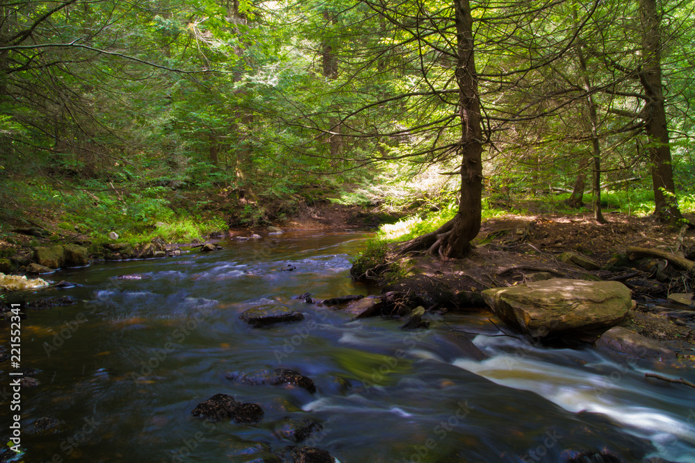 Waterfall Flowing Through Timberland In Pennsylvania Gorge