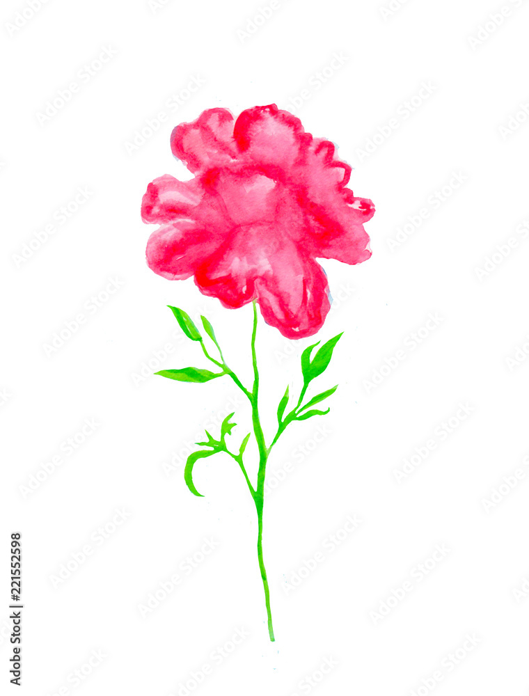 Watercolor hand painted herbal design element Watercolor hand painted herbal design element