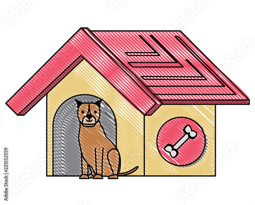 cute pets design