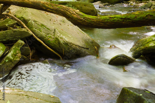 Forest Stream Flowing Through Boulders In Old Growth Forest