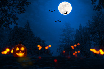 jack laterne, fledermäuse, halloween nacht