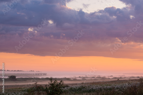 trees on meadow covered in dense fog with beautiful pastel sky on background 