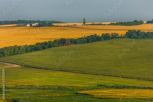 Green fields. Agricultural landscape. Harvest. South of Russia. Geometry of fields. © Фёдор Лашков