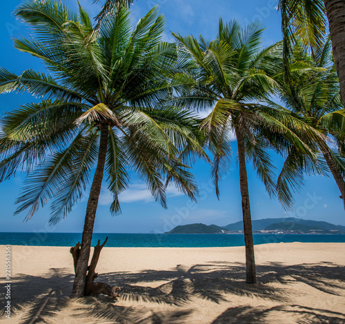 Fototapeta Naklejka Na Ścianę i Meble -  Beautiful sandy beach with palm trees