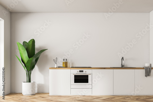 White kitchen island and plant, minimalism