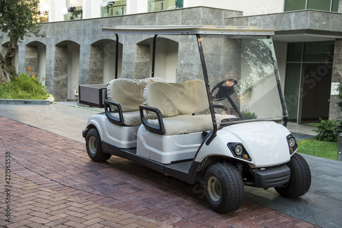 Electric golf car in the summer resort