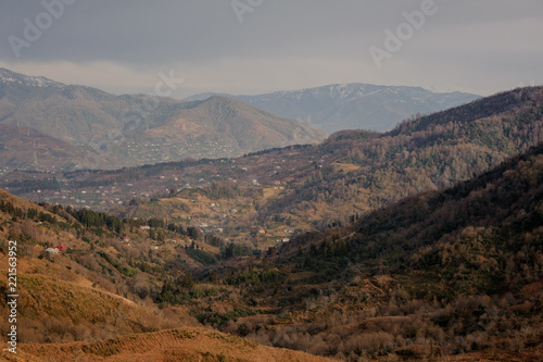 Autumn georgian landscape of rural part of Batumi town in mountains in orange colors © fesenko