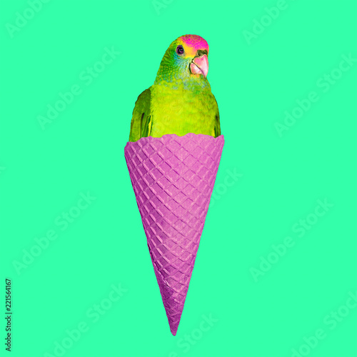 Contemporary art collage. Parrot Ice cream. Funny Fast food minimal project