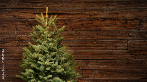 Classical fir christmas tree without decorations in front of a brown vintage wooden wall, full shot with copy space, no people