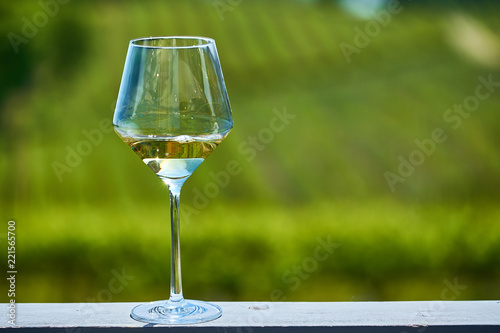 Glass of white wine and vineyards