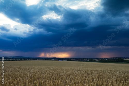Storm is coming, cloudscape. Thunderstorm over typical rural scene. Wheat field before harvest at farmland.