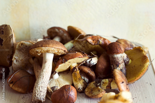 fresh raw mushrooms harvest on a kitchen table
