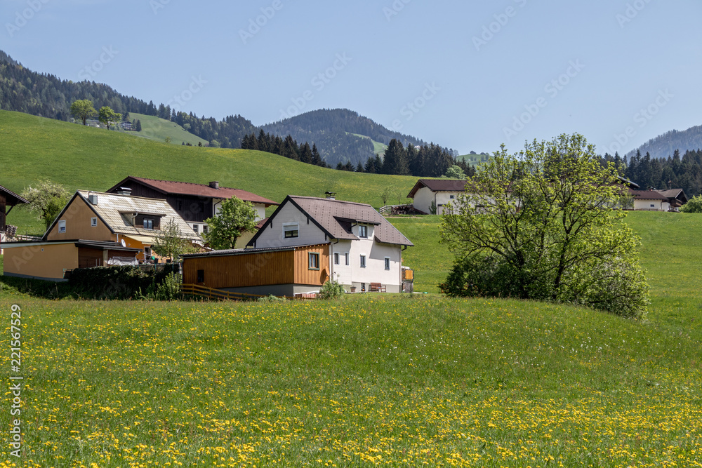 Fototapeta premium Tirol, Austria 