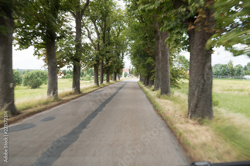 Einsame Allee in Polen © Thomas