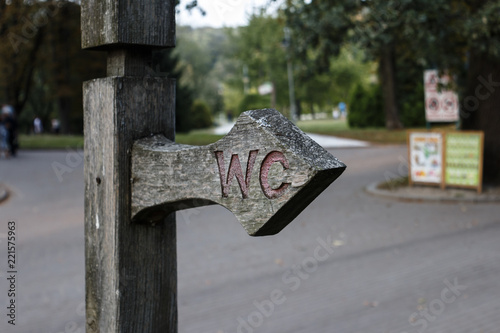 Pointer in autumn park. Autumn landscape.